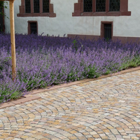 Karmeliterkloster MHI NATURSTEIN & BAUSTOFFSERVICE GMBH